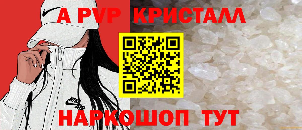 APVP СК Ухта