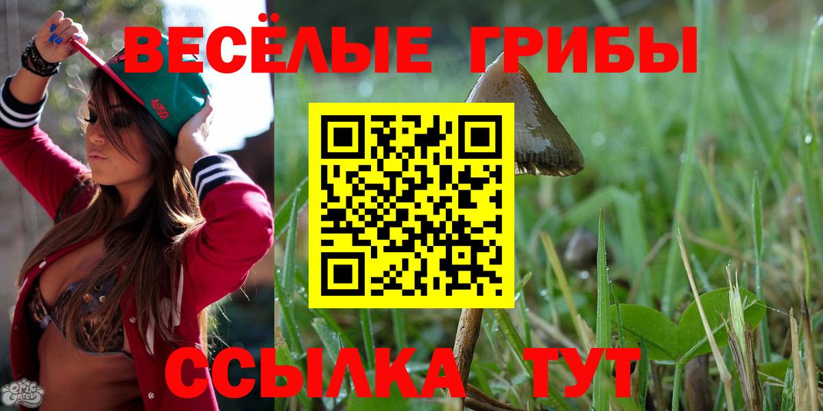 Ухта  Псилоцибиновые грибы Psilocybe  Псилоцибиновые грибы Magic Shrooms  Вход с VPN 